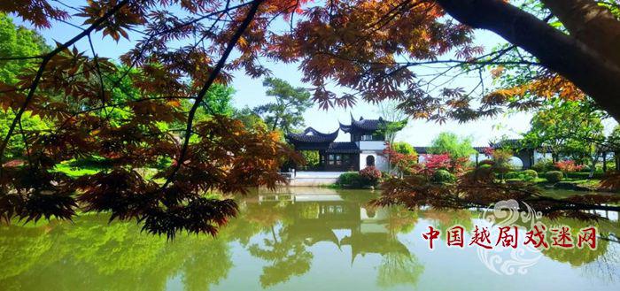 嵊州越剧艺术学校2021年中专招生简章正式发布